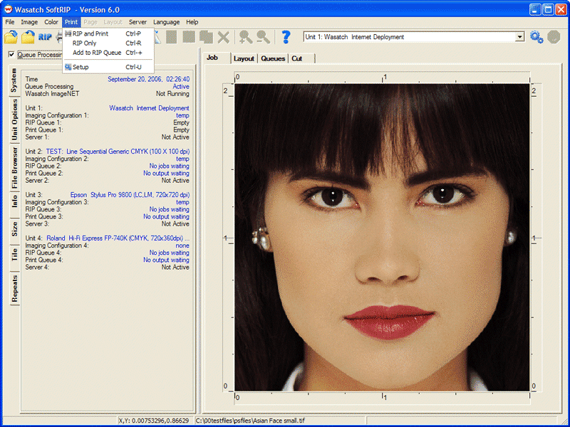 Main Print Window